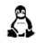 وی پی ان لینوکس